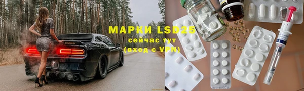 шишки Арсеньев