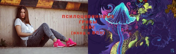 шишки Арсеньев