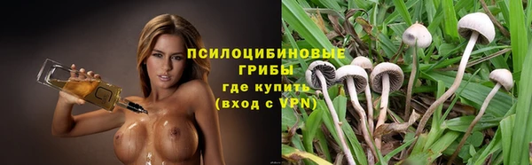 Альфа ПВП Аркадак