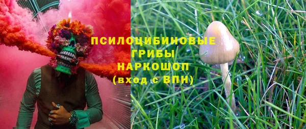 Альфа ПВП Армянск
