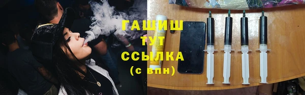 шишки Арсеньев