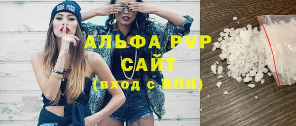 шишки Арсеньев