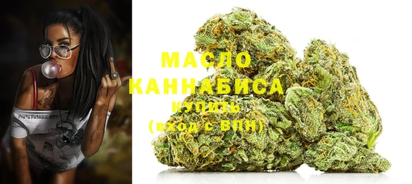 шишки Арсеньев