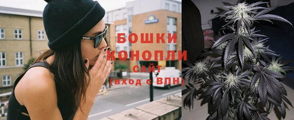 шишки Арсеньев